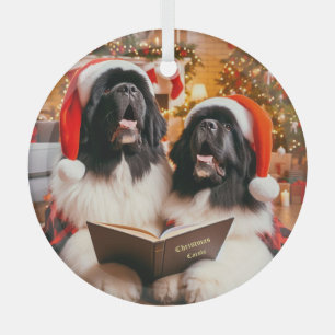 Ornement En Verre Landseer Newfoundland Dogs Singer Carols