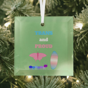 Ornement En Verre LGBTQIA Transgenre Fierté Caterpillar to Butfly