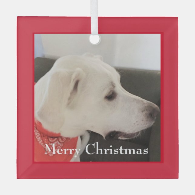 Ornement En Verre Mélange blanc Labrador Mix Chien Noël Carré rouge (Recto)