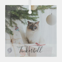 Modern Simple Classic at Name and Pet Photo 