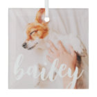 Moderne Jouer Simple Élégant Chic Photo Pet