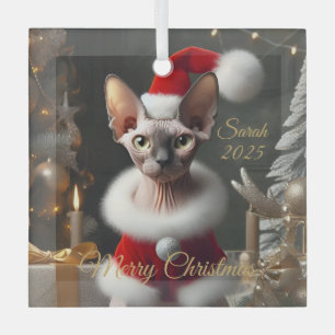 Ornement En Verre Nom de compagnie personnalisé Photo Chat Sphynx No