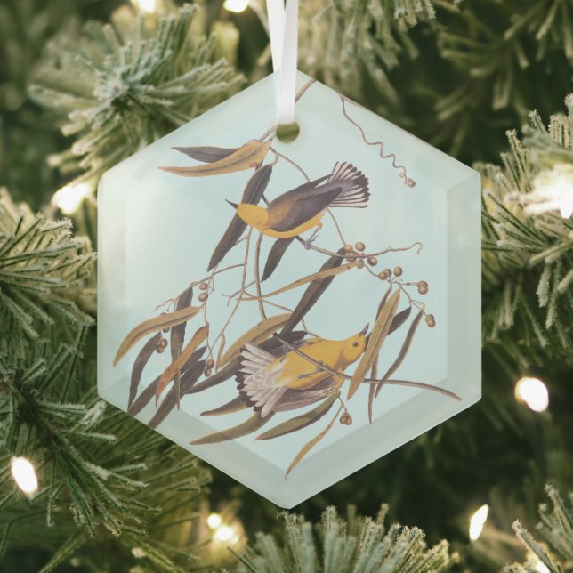 Ornement En Verre Oiseau de Paruline Prothonotaire Jaune d'Audubon (Insitu)
