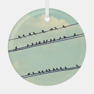 Ornement En Verre Oiseaux sur fil, ciel bleu vintage.