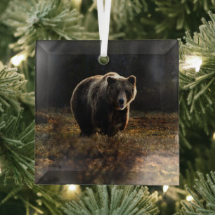 Ornement En Verre Ours