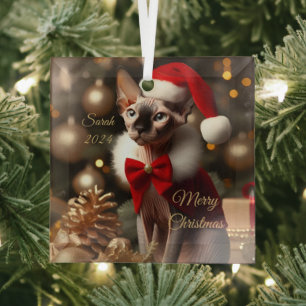 Ornement En Verre Personnalisé Nom De L'Animal Photo Sphynx Chat Noë