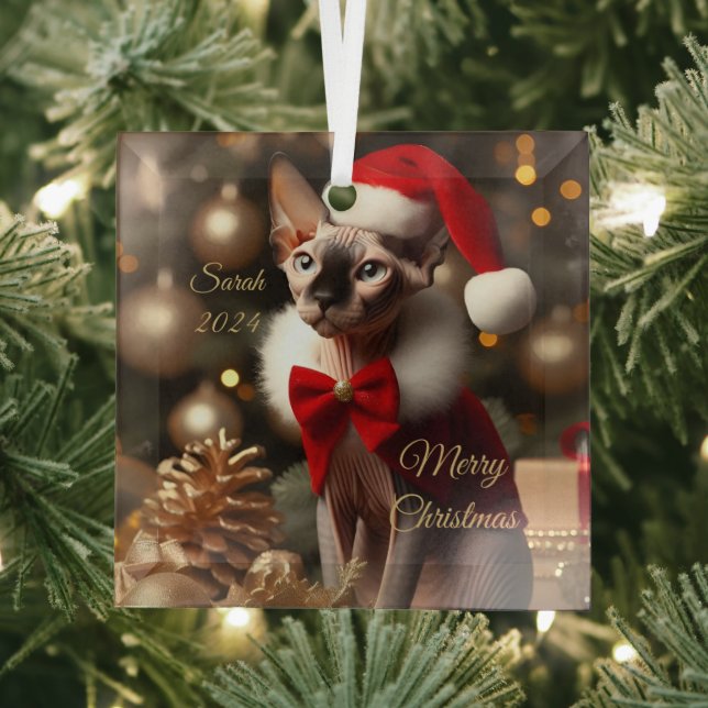 Ornement En Verre Personnalisé Nom De L'Animal Photo Sphynx Chat Noë (Insitu)