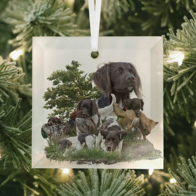 Ornement En Verre Petit Munsterlander (Insitu)