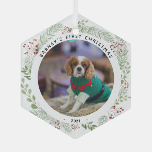 Ornement En Verre Photo de l'animal de compagnie Winter Wreath