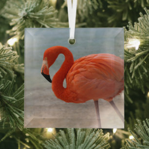 Ornement En Verre Plages tropicales   Flamant rose des Caraïbes, Aru