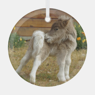 Ornement En Verre Pony