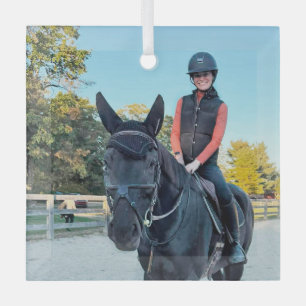 Ornement en verre pour cheval de commande spéciale