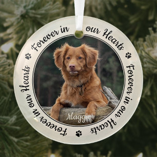 Ornement En Verre Pour toujours dans nos coeurs Pet Loss Cadeau Chig