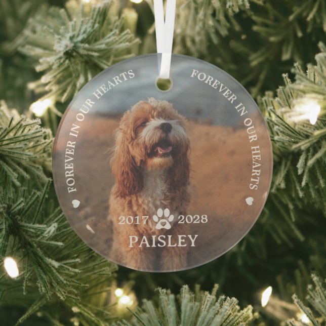 Ornement En Verre Pour toujours dans nos coeurs Pet Memorial (Insitu)