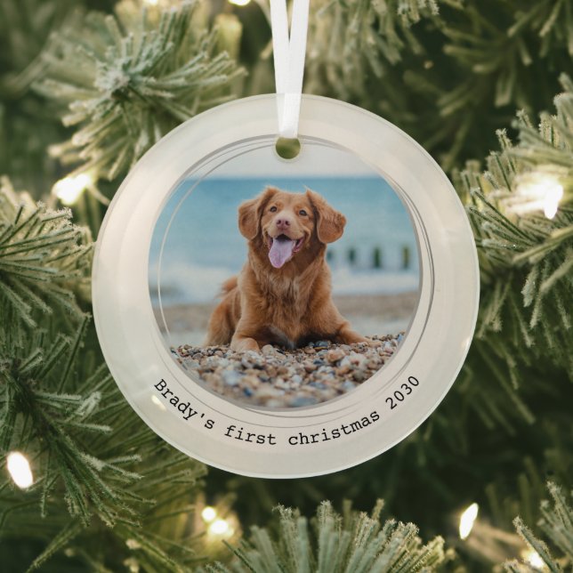 Ornement En Verre Premier Noël moderne personnalisé chien animal de  (Insitu)