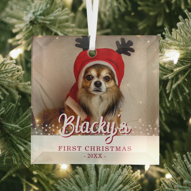 Ornement En Verre Première photo de chiot de Noël Étoiles blanches (Insitu)