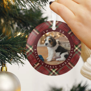 Ornement En Verre Première photo de Noël de l'animal domestique clas
