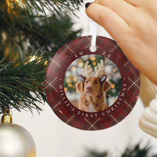 Ornement En Verre Première photo de Noël de l'animal domestique clas