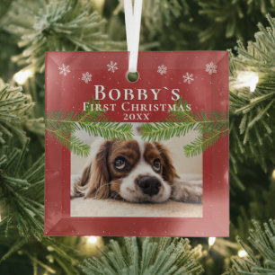 Ornement En Verre Puppy`s 1er Noël Pine Rouge Snowflakes Photo