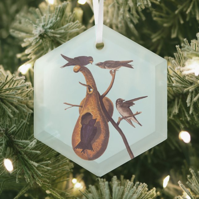 Ornement En Verre Purple Martin Audubon Bird Famille et Gourd Accuei (Insitu)