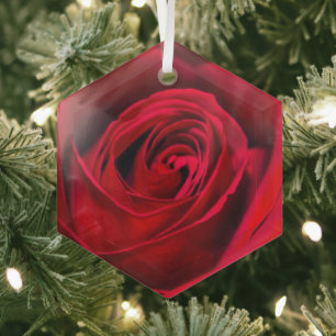 Ornement En Verre Rose rouge romantique en pleine floraison