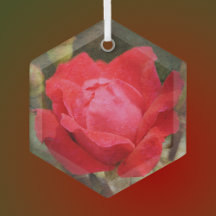 Rouge, Rose rouge