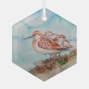 Ornement En Verre Sandpiper Shore Bird Ocean Watercolor Art 