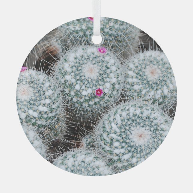 Ornement En Verre Tiny rose Fleurs Plantes Cactus (Recto)