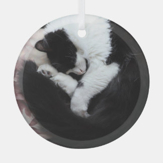Ornement En Verre Tuxedo Chat Kitty Chats Noir et Blanc Catalogue