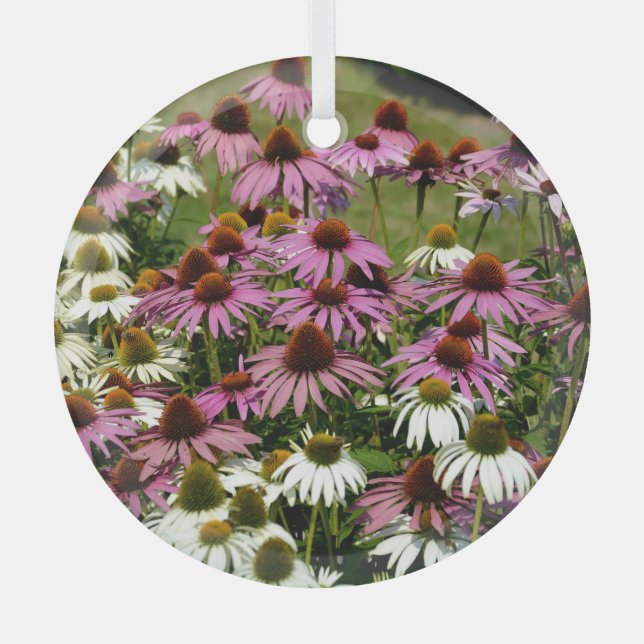 Ornement En Verre Utilisation des racines amérindiennes, utilisation (Recto)