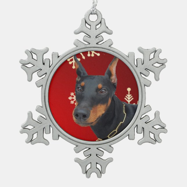 Ornement encadré par flocon de neige (Devant)