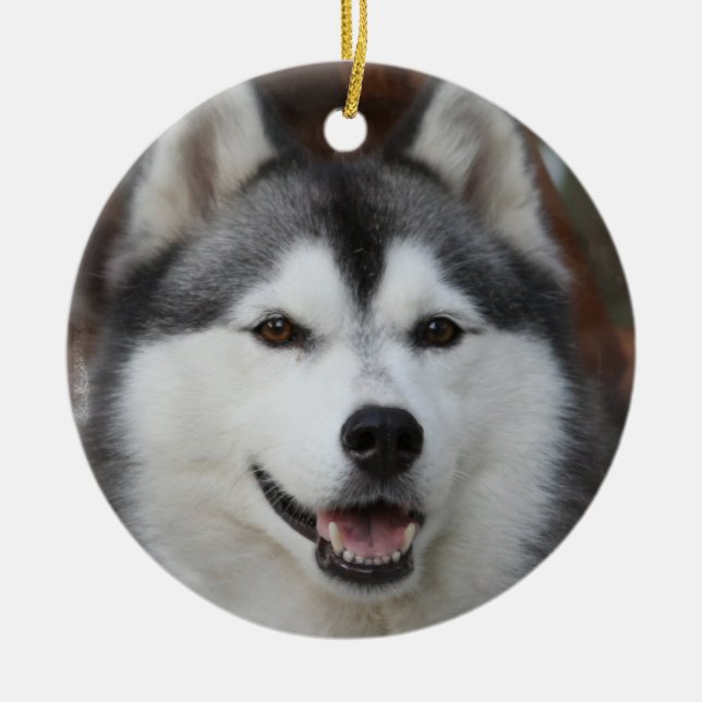 Ornement enroué de chien (Devant)