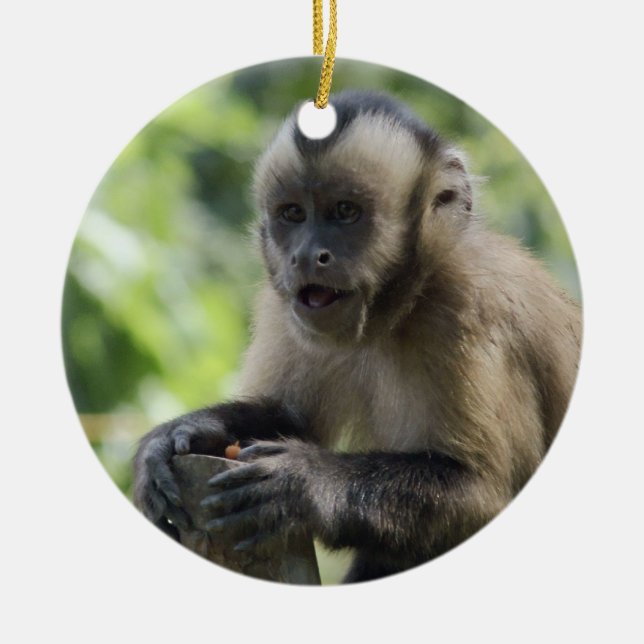 Ornement espiègle de singe (Devant)