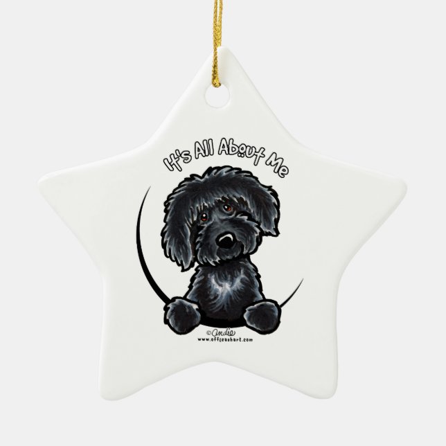 Ornement Étoile En Céramique Black Labradoodle IAAM (Devant)