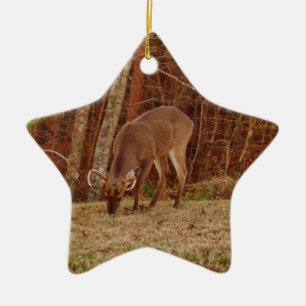 Ornement Étoile En Céramique Camouflage en chêne rouge Stag Buck Deer Nourritur