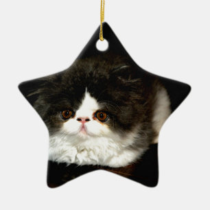 Ornement Étoile En Céramique Chat chaton blanc noir mignon