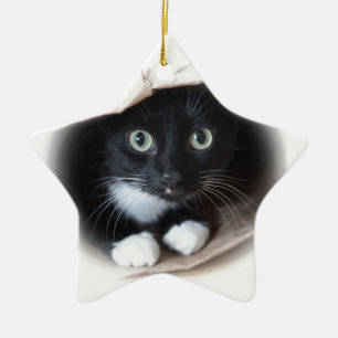 Ornement Étoile En Céramique Chat dans un sac