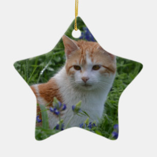 Ornement Étoile En Céramique Chat tigré orange et blanc