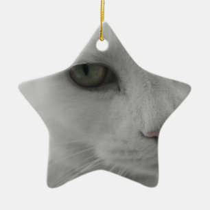 Ornement Étoile En Céramique Chats noirs et blancs