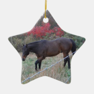 Ornement Étoile En Céramique Cheval Brown dans les arbres d'automne rouges