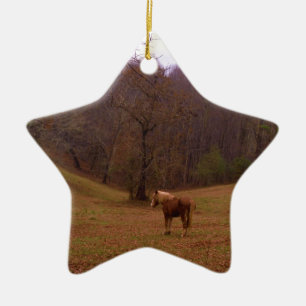 Ornement Étoile En Céramique Cheval Brown et blond dans un champ