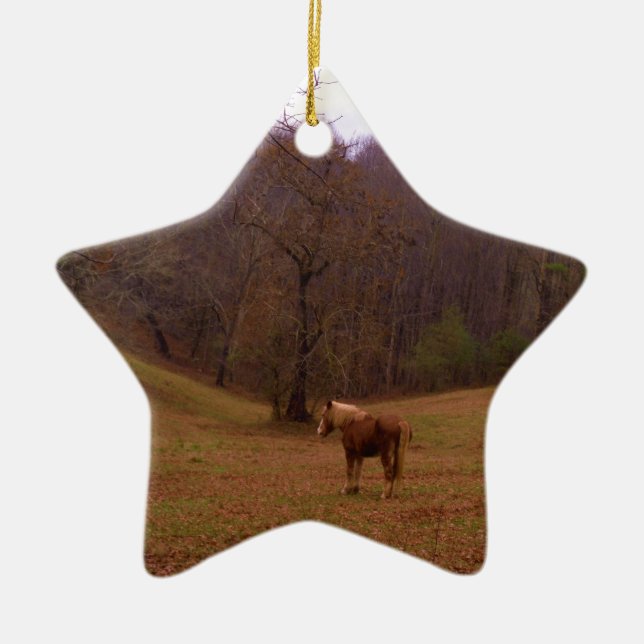 Ornement Étoile En Céramique Cheval Brown et blond dans un champ (Devant)