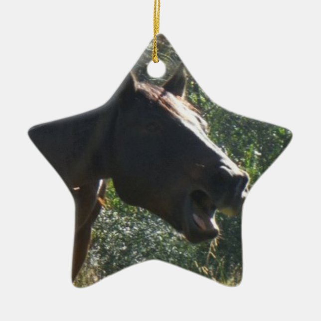 Ornement Étoile En Céramique Cheval en automne (Devant)
