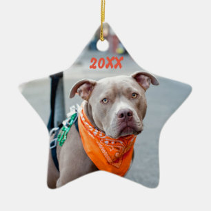 Ornement Étoile En Céramique Chien Editable avec le Bandana