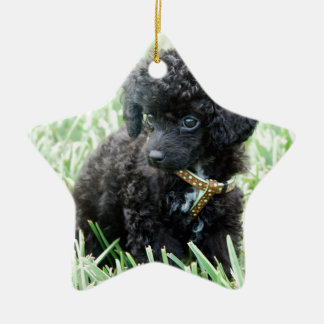 Ornement Étoile En Céramique Chiot de caniche de jouet