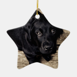 Ornement Étoile En Céramique Chiot de récupération du Labrador noir sur bois