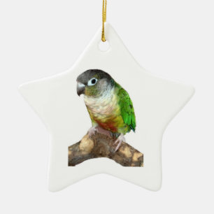 Ornement Étoile En Céramique Conure verte à la joue