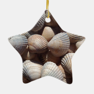 Ornement Étoile En Céramique Coquillages