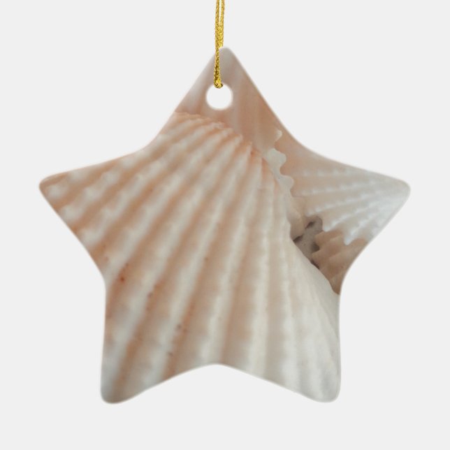 Ornement Étoile En Céramique Coquillages D'Été Ensoleillés. Romantique, exotiqu (Devant)