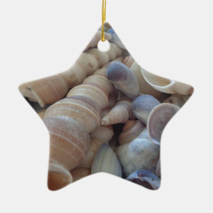 Ornement Étoile En Céramique Coquillages D'Été Ensoleillés. Romantique, exotiqu